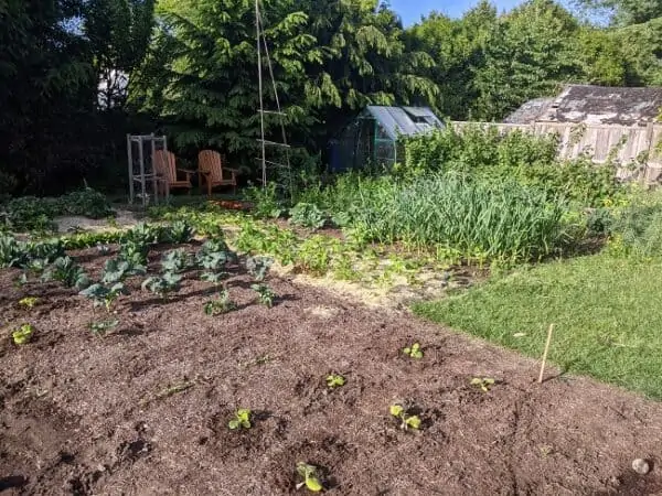 benefits of a kitchen garden