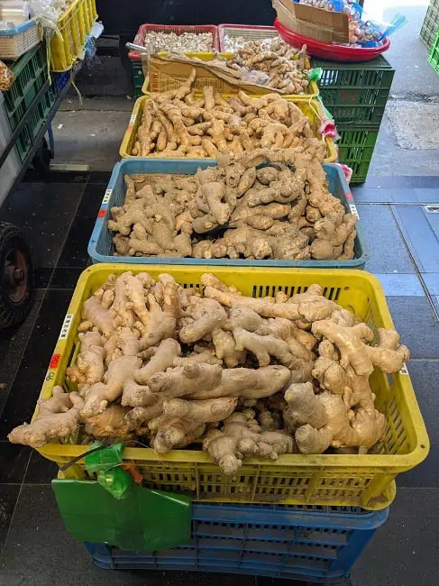 Massive ginger
