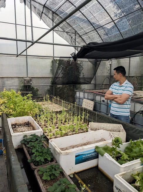 Checking out the greenhouse at my aunt’s
