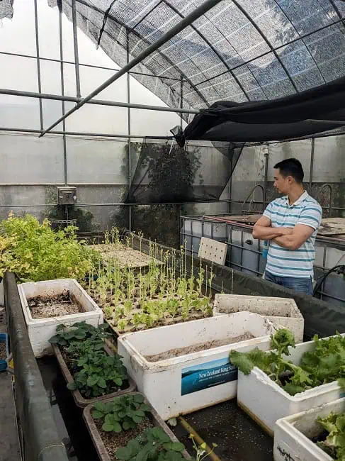 greenhouse