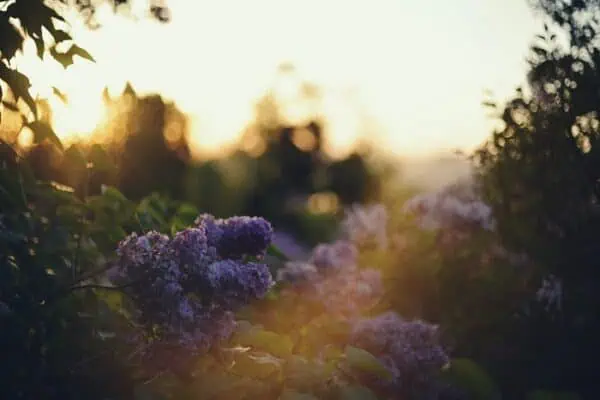 Early retirement planning - steps we are doing and planning to do