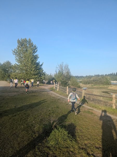 Exploring with the Cubs and finding wild asparagus
