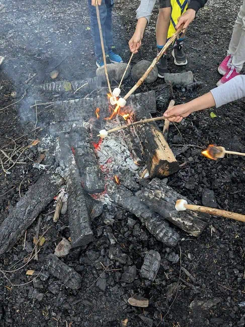 Roasting marshmallows
