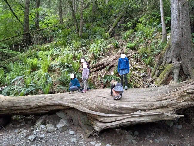 Hiking around North Vancouver
