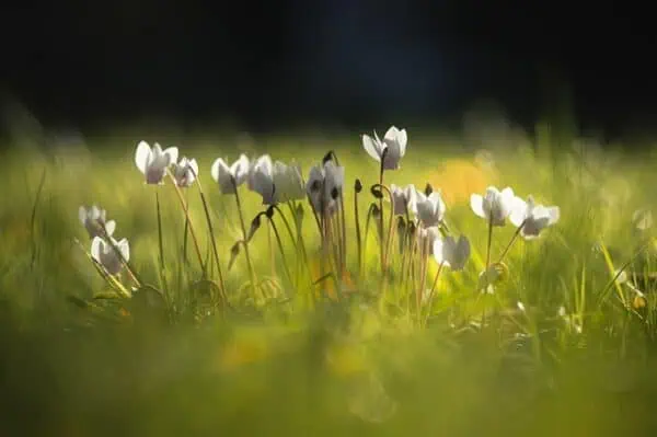 Random thoughts - worst day of the market, tech or not, leveraging, etc